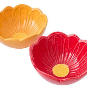 Bol Fleur Porcelaine Multicolore Large Assortiment De 2